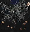 kyliejenner Altpins Profile Picture