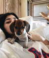 kyliejenner Altpins Profile Picture