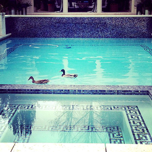 kyliejenner instagram image archive image