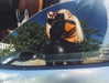 kyliejenner Altpins Profile Picture