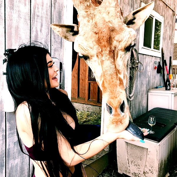 kyliejenner instagram image archive image
