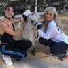 kyliejenner Altpins Profile Picture