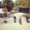 kyliejenner Altpins Profile Picture
