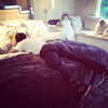 kyliejenner Altpins Profile Picture
