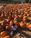 kyliejenner Altpins Profile Picture