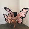 kyliejenner Altpins Profile Picture
