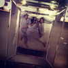 kyliejenner Altpins Profile Picture