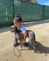 kyliejenner Altpins Profile Picture