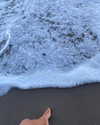 kyliejenner Altpins Profile Picture