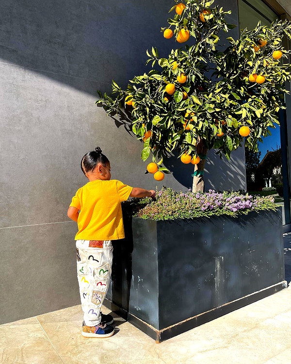 kyliejenner instagram image archive image