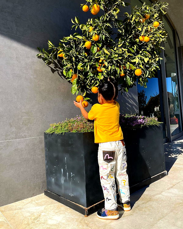 kyliejenner instagram image archive image