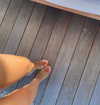 kyliejenner Altpins Profile Picture