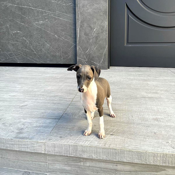 kyliejenner instagram image archive image