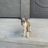 kyliejenner Altpins Profile Picture