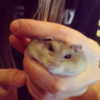 kyliejenner Altpins Profile Picture