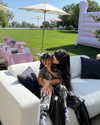 kyliejenner Altpins Profile Picture