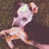 kyliejenner Altpins Profile Picture