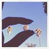 kyliejenner Altpins Profile Picture