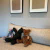 kyliejenner Altpins Profile Picture