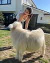 kyliejenner Altpins Profile Picture