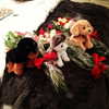 kyliejenner Altpins Profile Picture
