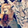 kyliejenner Altpins Profile Picture