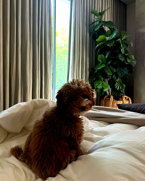 kyliejenner instagram image archive image