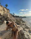 kyliejenner Altpins Profile Picture