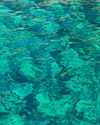 kyliejenner Altpins Profile Picture