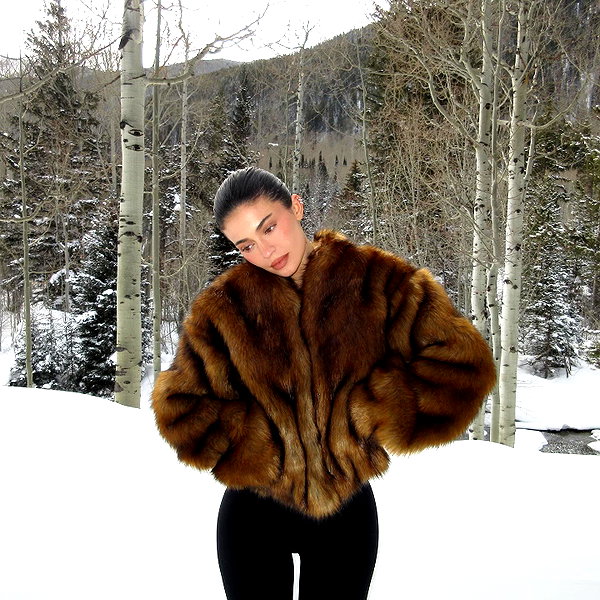 kyliejenner instagram image archive image