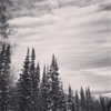 kyliejenner Altpins Profile Picture