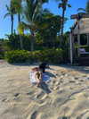 kyliejenner Altpins Profile Picture