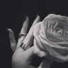 kyliejenner Altpins Profile Picture