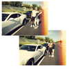 kyliejenner Altpins Profile Picture