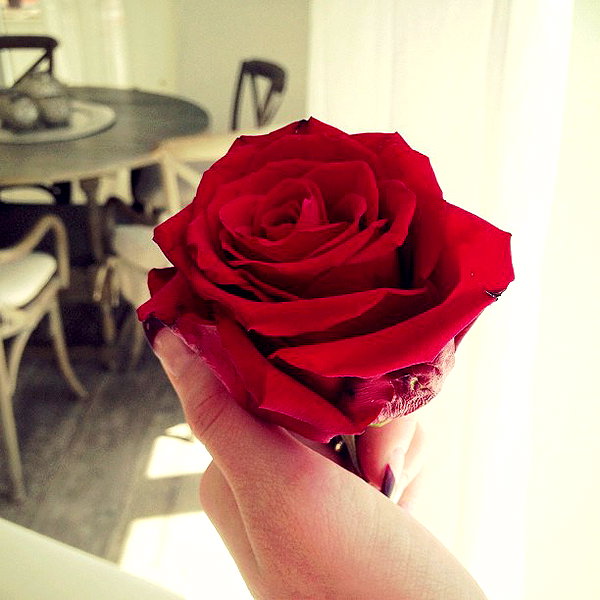 kyliejenner instagram image archive image
