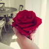 kyliejenner Altpins Profile Picture