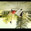 kyliejenner Altpins Profile Picture
