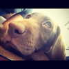 kyliejenner Altpins Profile Picture