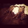 kyliejenner Altpins Profile Picture