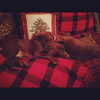 kyliejenner Altpins Profile Picture