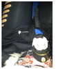 kyliejenner Altpins Profile Picture