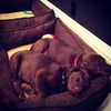 kyliejenner Altpins Profile Picture