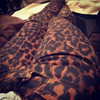 kyliejenner Altpins Profile Picture