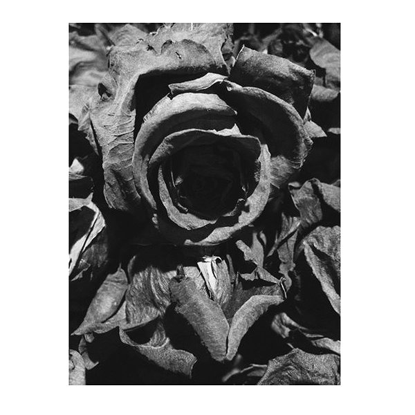 kyliejenner instagram image archive image