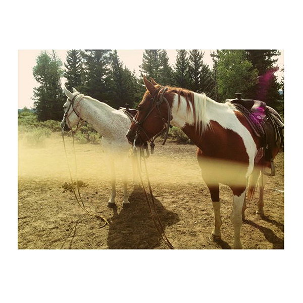 kyliejenner instagram image archive image