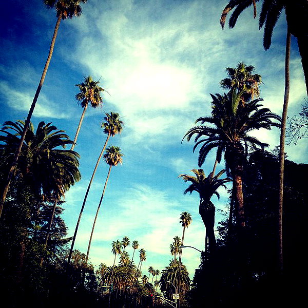 kyliejenner instagram image archive image