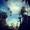 kyliejenner Altpins Profile Picture