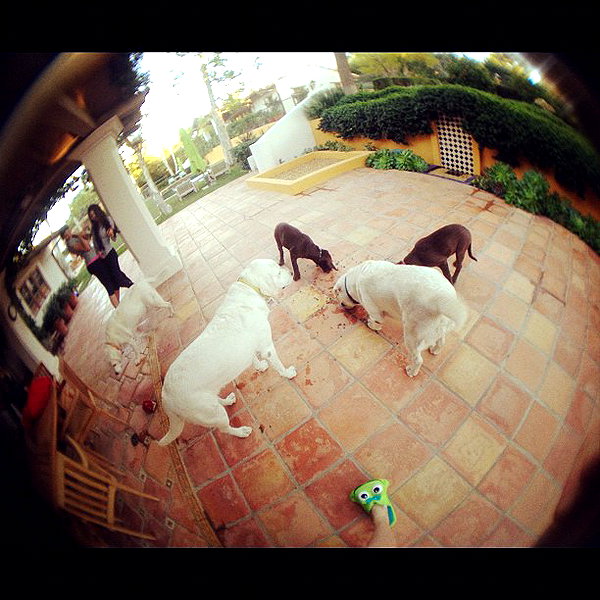 kyliejenner instagram image archive image