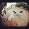 kyliejenner Altpins Profile Picture