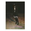 kyliejenner Altpins Profile Picture